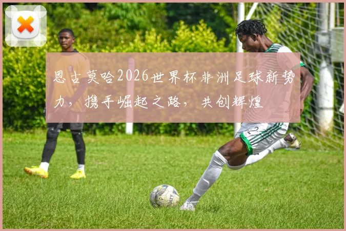 恩古莫哈2026世界杯非洲足球新势力，携手崛起之路，共创辉煌