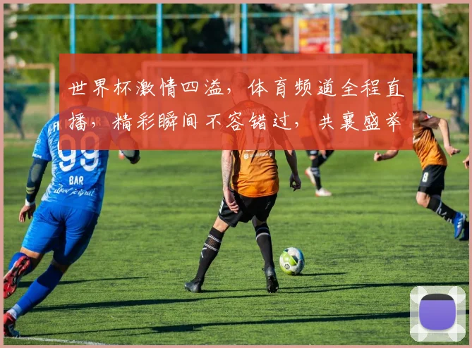世界杯激情四溢，体育频道全程直播，精彩瞬间不容错过，共襄盛举