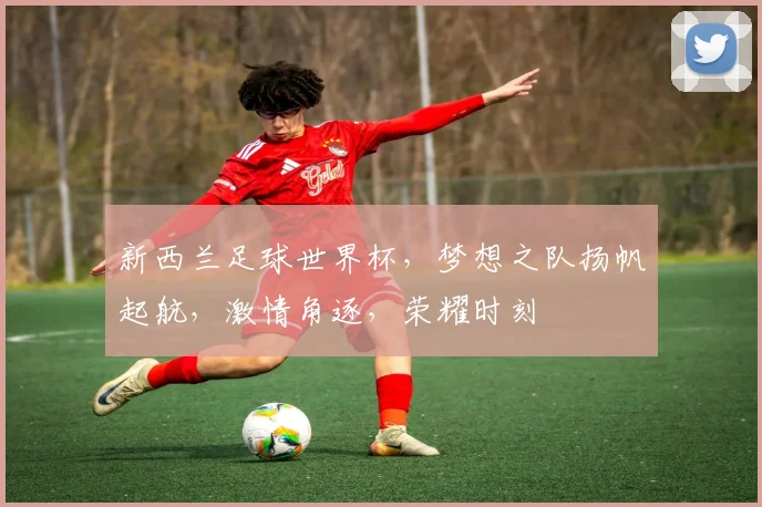 新西兰足球世界杯，梦想之队扬帆起航，激情角逐，荣耀时刻