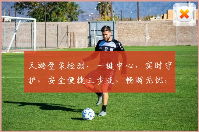 天游登录检测，一键中心，实时守护，安全便捷三步走，畅游无忧，体验非凡