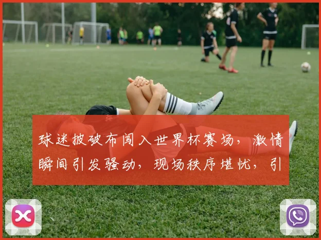 球迷披破布闯入世界杯赛场，激情瞬间引发骚动，现场秩序堪忧，引发热议。